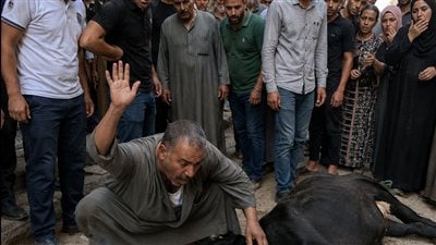 اشترى زوجي عجلًا عقيقة لابننا 